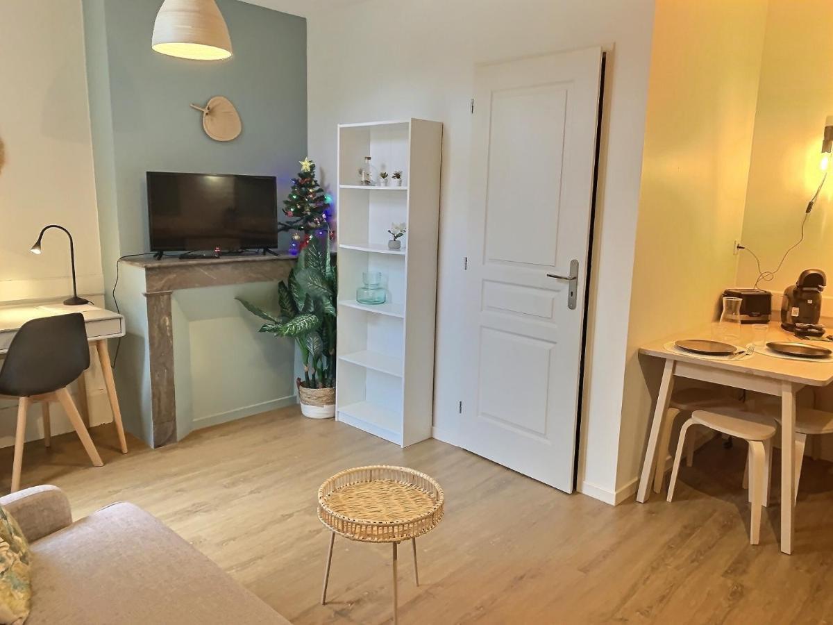 Ferienwohnung Le Dumon 2 - T2 Avec Garage - Terrasse - Wifi - Gare A 200M Agen Exterior foto